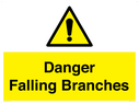danger-falling-branches~